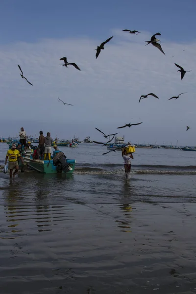Puerto López, Ecuador - Nov 26, 2012: Enjambre de gaviotas alrededor del barco — Foto de Stock