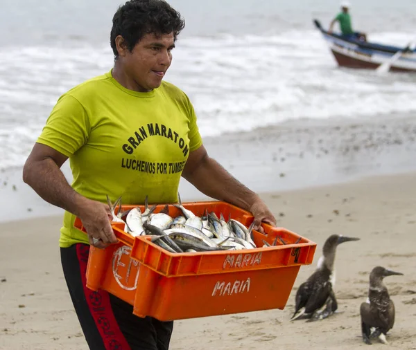 Puerto Pizarro, Ecuador - 20. August 2014: Mann trägt Mülleimer mit Fischen — Stockfoto