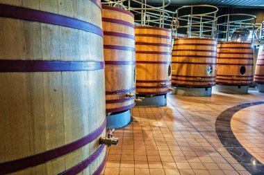 Mendoza, Arjantin - Mar 2015 Bodega Catena Zapata için yıllanmış yeraltı şarabı