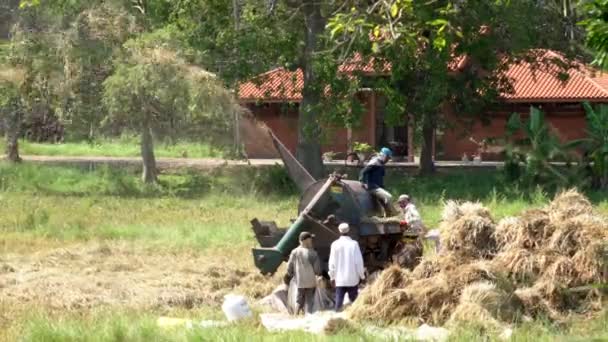 Haberna, Sri Lanka 2019-03-22 - Gli agricoltori gestiscono una macchina di pestaggio per separare il grano — Video Stock