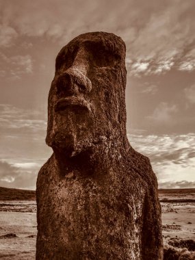 Rano Raraku taş ocağındaki Paskalya Adası 'ndaki Moai Heykelleri
