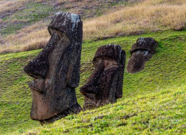 Rano Raraku taş ocağındaki Paskalya Adası 'ndaki Moai Heykelleri