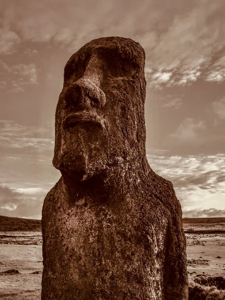 Moai posągi na Wyspie Wielkanocnej w kamieniołomie Rano Raraku — Zdjęcie stockowe