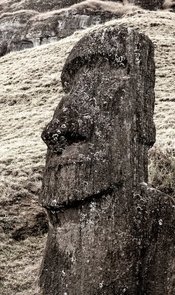 Rano Raraku taş ocağındaki Paskalya Adası 'ndaki Moai Heykelleri — Stok fotoğraf