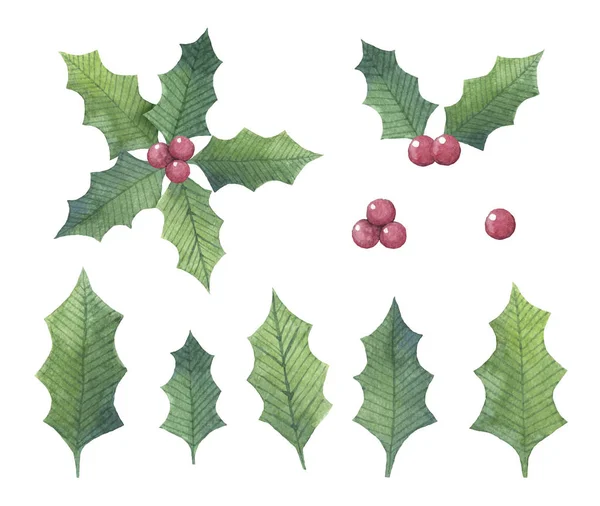 Hand Drawn Watercolor Holly Leaf Set Different Shapes Christmas Uses — Stock Photo, Image