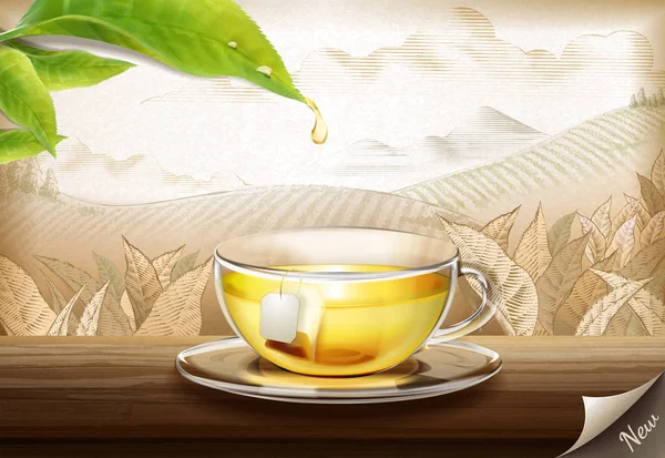 绿茶袋广告与3D 插图玻璃杯茶在雕刻种植园背景 — 图库矢量图片