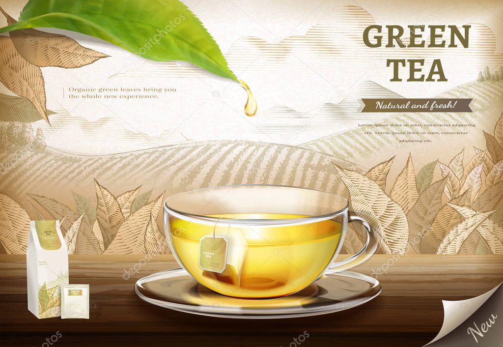 Green tea bag ads with 3d illustration glass cup of tea on engraved plantation background