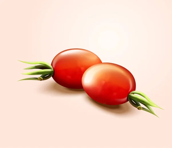 Mira de cerca los tomates frescos — Vector de stock