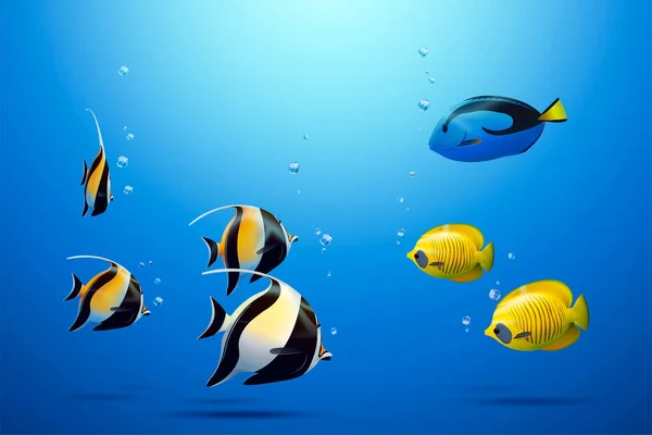 Three Tropical Fish Including Zanclus Bluecheek Butterflyfish Blue Tang Sea — Stock Vector