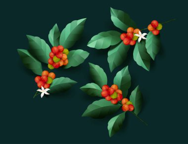 Kağıt sanatında yapraklı kırmızı ve yeşil fasulye kahvesi meyvesi.