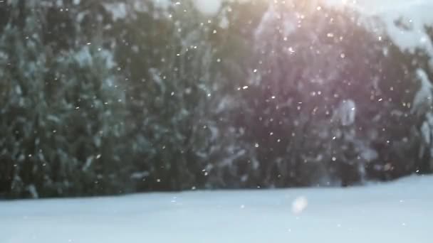 Glitzernder Schnee Auf Verschwommenem Hintergrund — Stockvideo