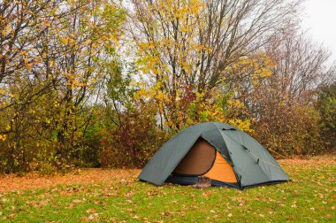 Turist çadır sonbahar forest yakınındaki çimenlerin üzerinde