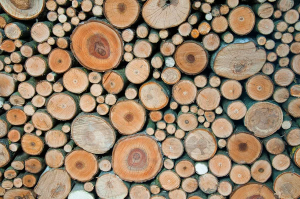 Background of folded pile of firewood — Stock Photo, Image