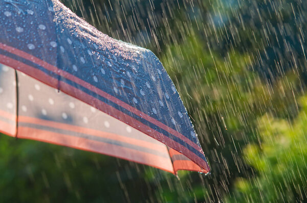 Капли дождя падают на зонтик
