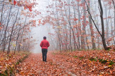 Foggy morning in the autumn forest. A woman in a red jacket walk clipart