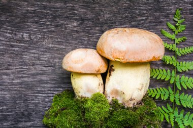 Beyaz mantarlar (Boletus edulis) eski ahşap bir masa üzerinde