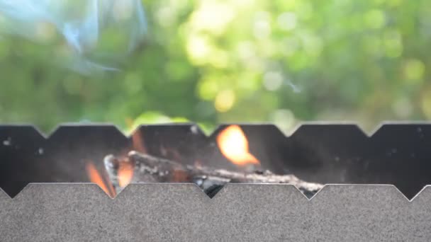 バーベキュー用の薪が火鉢で燃えている — ストック動画