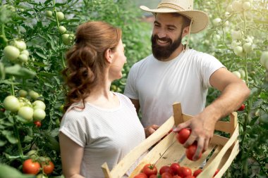 Serada çalışan mutlu çiftçiler.