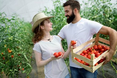 Genç çift modern sera Sebze Yetiştiriciliği