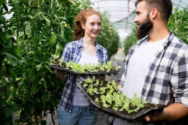 İki çekici genç insanlar serada çalışan ve fidan dikim