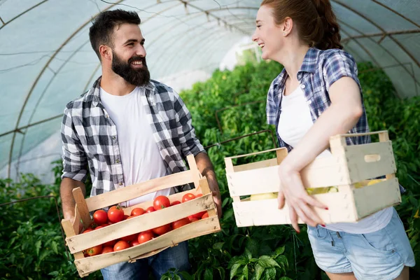 Two Smart People Working Greenhouse — Stock Photo, Image