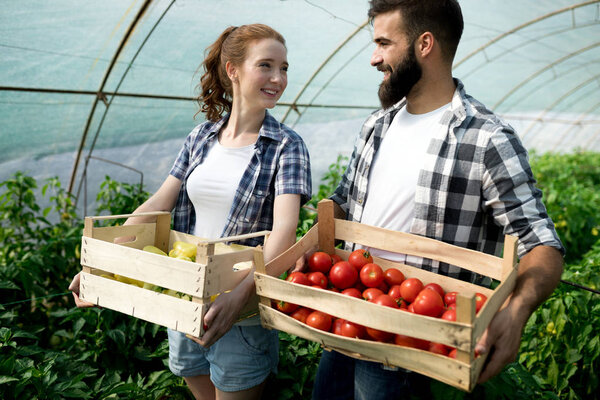 Молодая счастливая пара фермеров, работающих в теплице