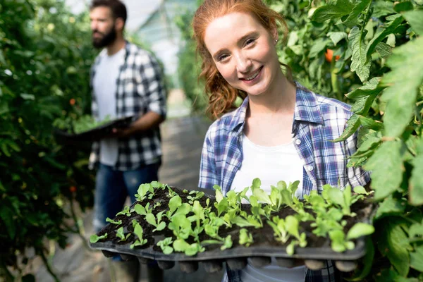 Attraente Agricoltrice Felice Che Lavora Nella Sua Serra — Foto Stock