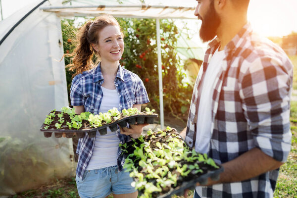 Two smart people working in a greenhouse.
