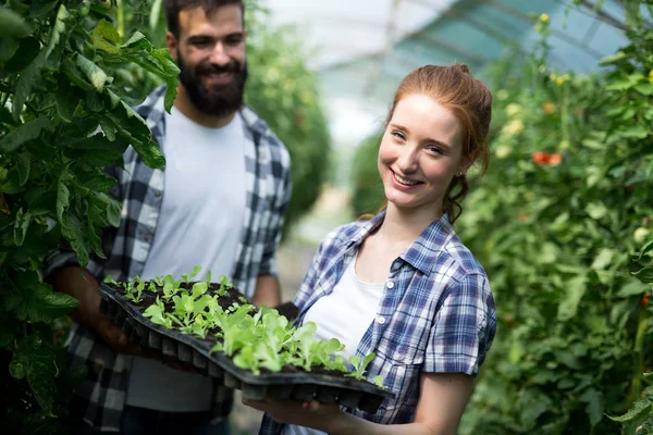 二人の若い芽が付いている温室で働く人の笑顔します 植物の保護とケアのコンセプト — ストック写真