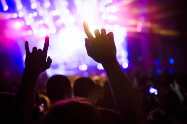 Resim Müzik Festivali'nde insanlar dans partisi