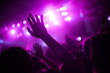 Resim Müzik Festivali'nde insanlar dans partisi