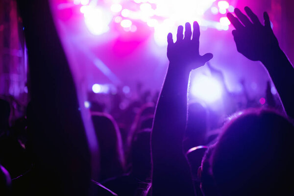 Picture of party dancing people at music festival