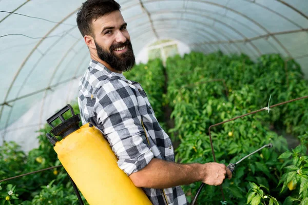 Young Farmer Protecting His Plants Chemicals — Stock Photo, Image