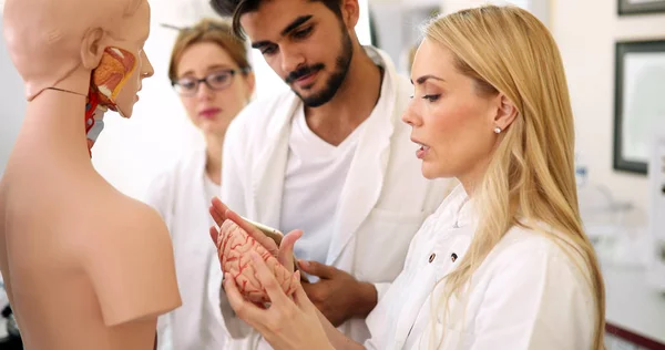 Jovens Estudantes Medicina Examinando Juntos Modelo Anatômico Sala Aula — Fotografia de Stock