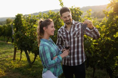 Mutlu çift bağ hasat önce aşık