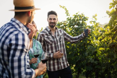 Şarap üretici ve şarapçılık bağ insanlarda