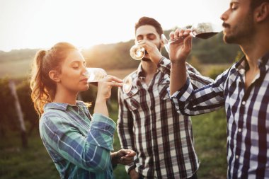 Şarap üretici ve şarapçılık bağ insanlarda