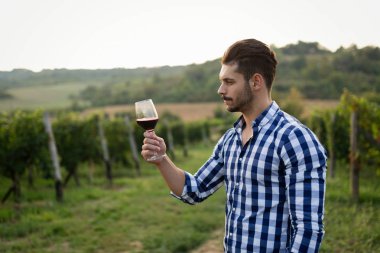 Mutlu winegrower yaz aylarında üzüm şarap tadımı