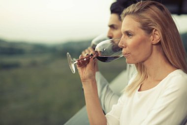 Winegrowers bağ örnekleme ve tatma şaraplar insanlar