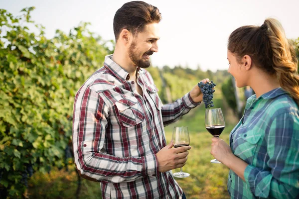 Pareja Feliz Enamorada Viñedo Antes Cosecha — Foto de Stock