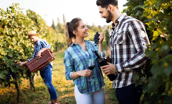 Wine grower and people in winery vineyard