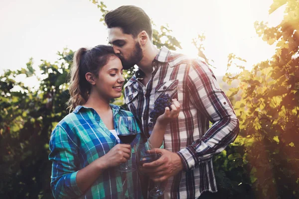 Couple Heureux Amoureux Dans Vignoble Avant Récolte — Photo