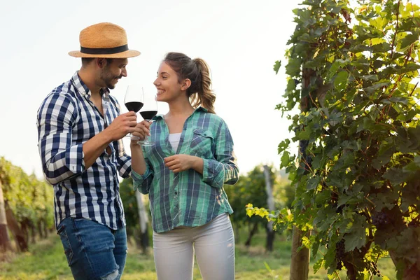 ワインのブドウ畑で働くとワインの試飲の愛のカップル — ストック写真