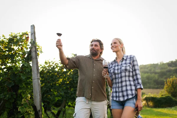 Coppia Felice Innamorata Vigna Prima Della Vendemmia — Foto Stock