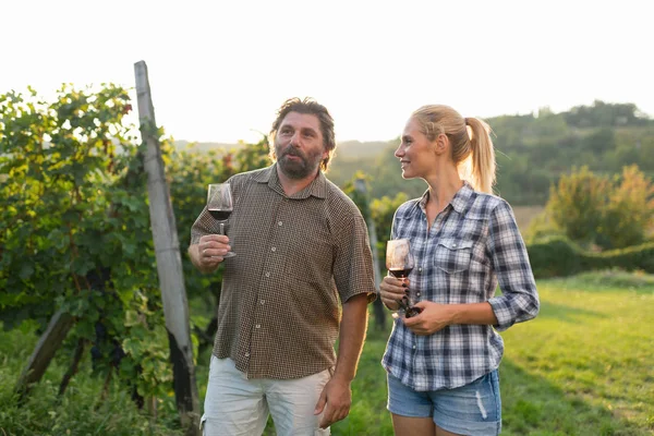 Glückliches Verliebtes Paar Weinberg Vor Der Ernte — Stockfoto