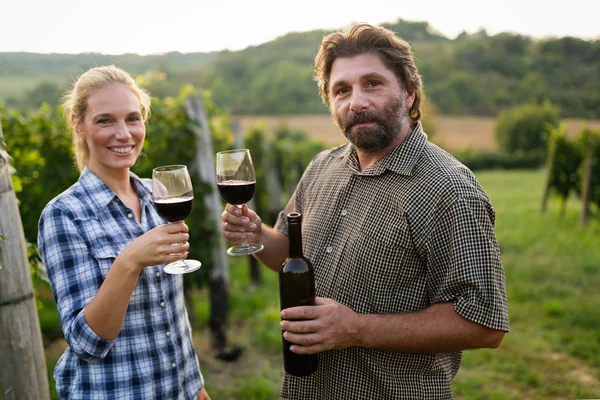 Happy Couple Love Vineyard Harvesting — Stock Photo, Image
