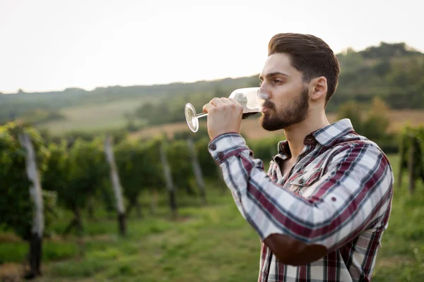 Feliz Vinho Degustação Vitivinícola Vinha Verão — Fotografia de Stock