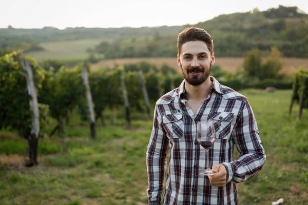 Mutlu winegrower yaz aylarında üzüm şarap tadımı