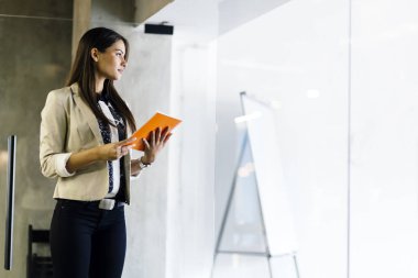 Bir dosya içinde modern ofis holding iş kadını