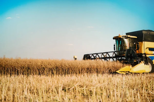 Picture Combine Harvester Machine Harvesting Ripe Crops — Stock Photo, Image